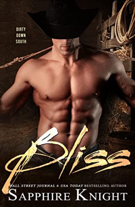 Book cover for "2 Times the Bliss" by Sapphire Knight