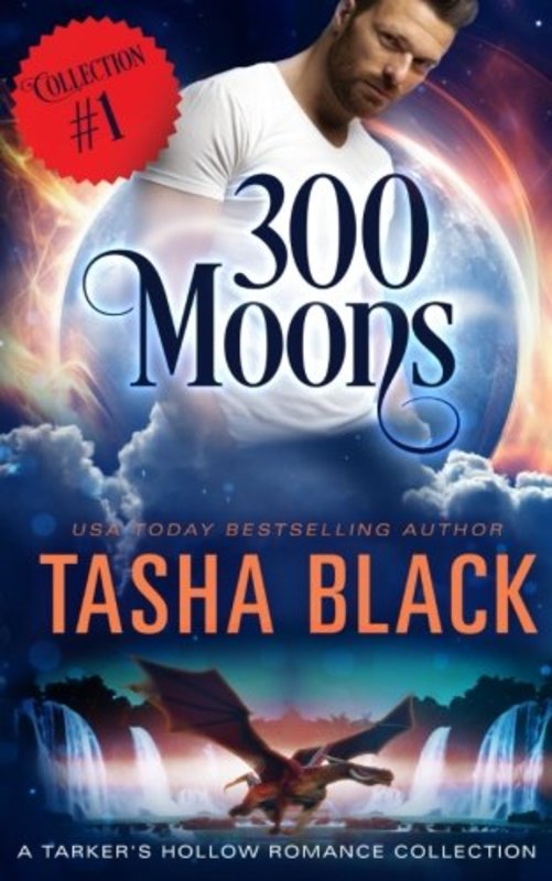 Tarkers Hollow Mystery book cover