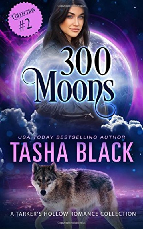 Tarkers Hollow Mystery book cover