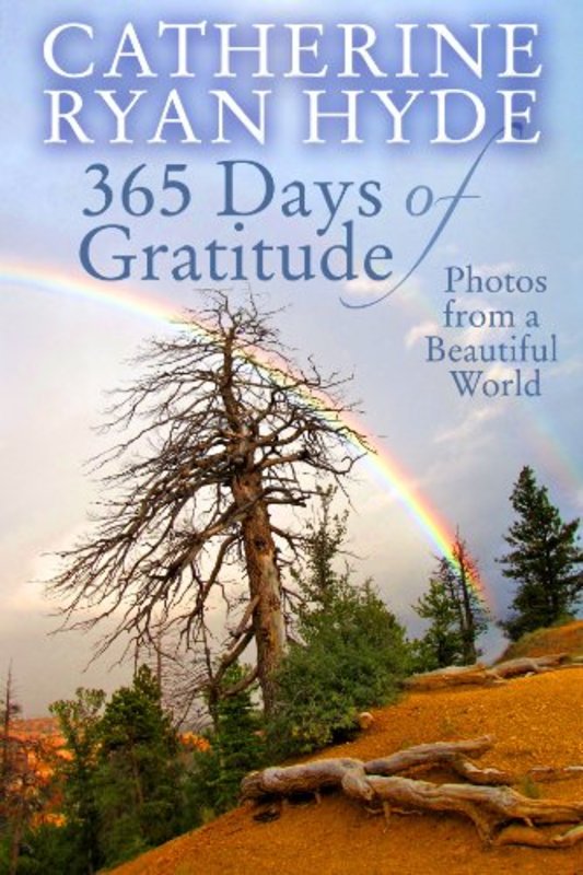 Book cover for "365 Days of Gratitude" by Catherine Ryan Hyde