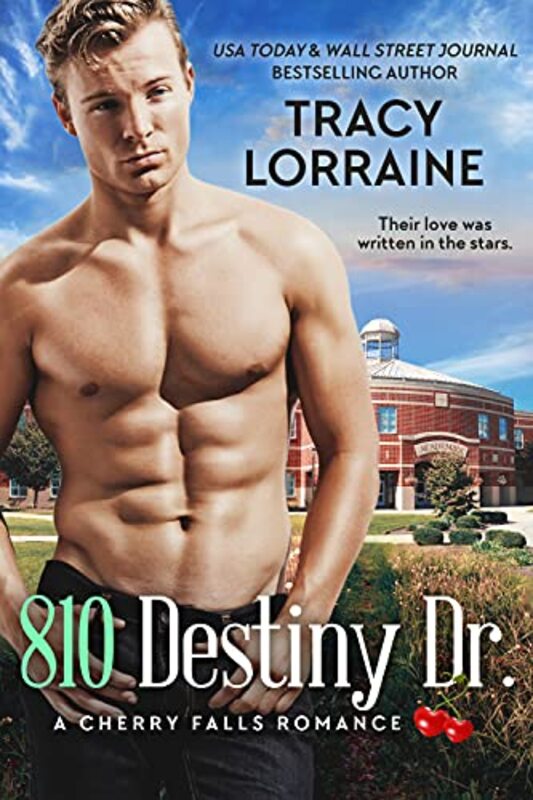 Book cover for "810 Destiny Dr." by Tracy Lorraine