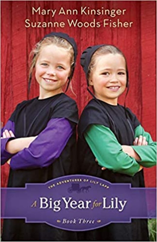 Book cover for "A Big Year for Lily" by Suzanne Woods Fisher