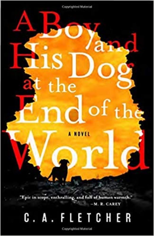 Charlie Fletcher book cover