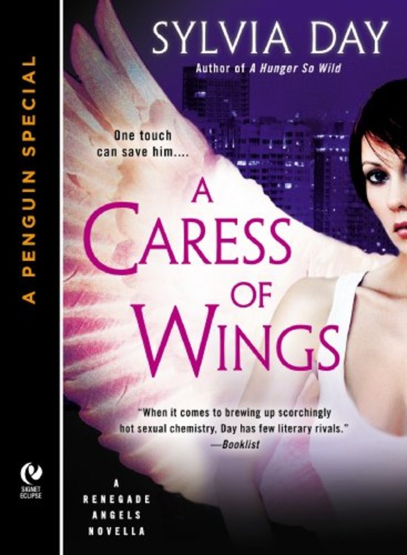Renegade Angels book cover