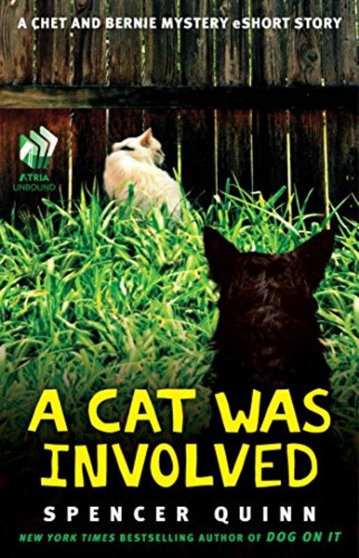 Book cover for "A Cat Was Involved" by Spencer Quinn