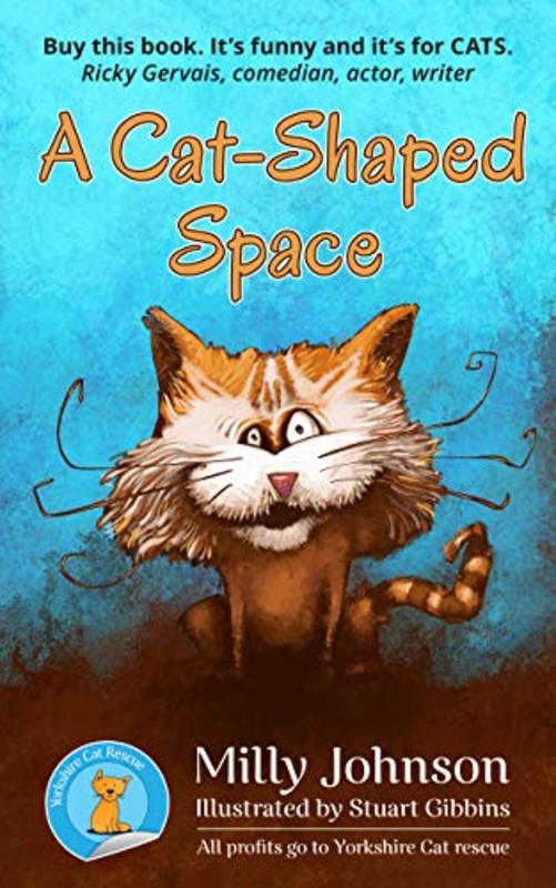 Book cover for "A Cat-Shaped Space" by Milly Johnson