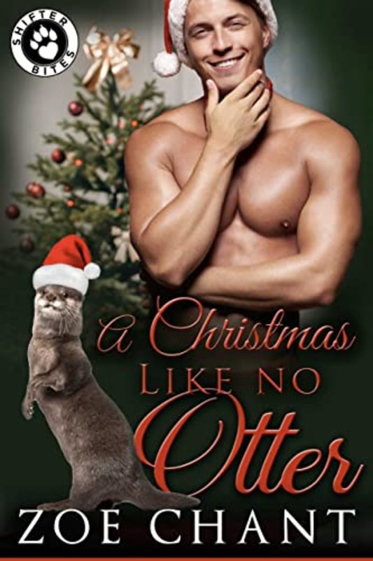 Book cover for "A Christmas Like No Otter" by Zoe Chant