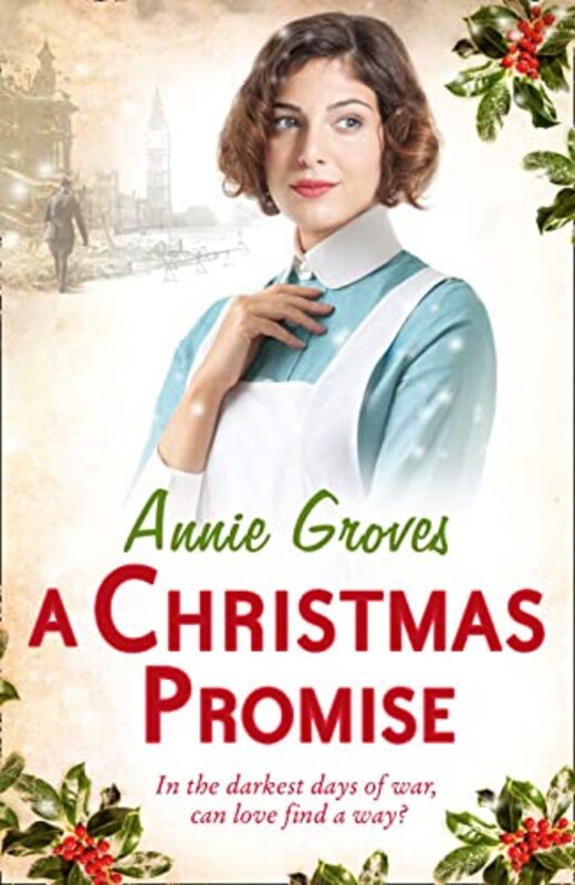 Book cover for "A Christmas Promise" by Annie Groves