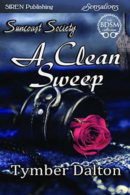Book cover for "A Clean Sweep" by Tymber Dalton