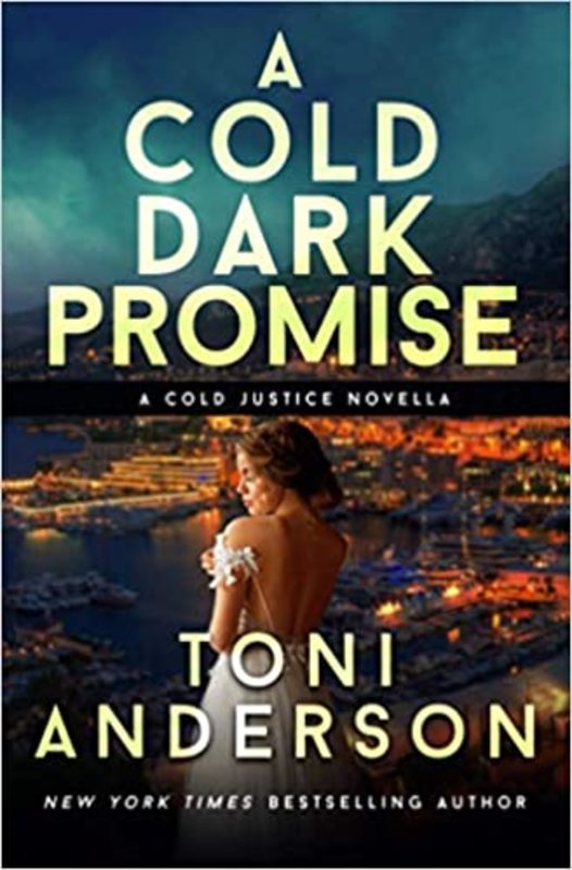 Book cover for "A Cold Dark Promise" by Toni Anderson