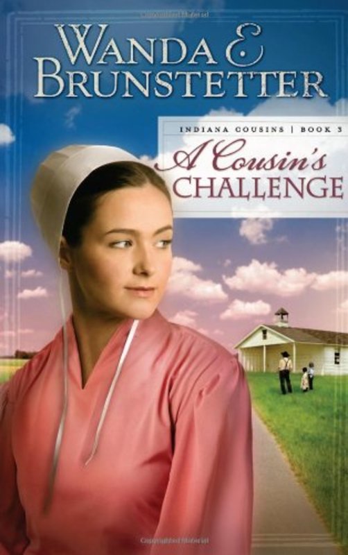 Book cover for "A Cousin's Challenge" by Wanda E Brunstetter