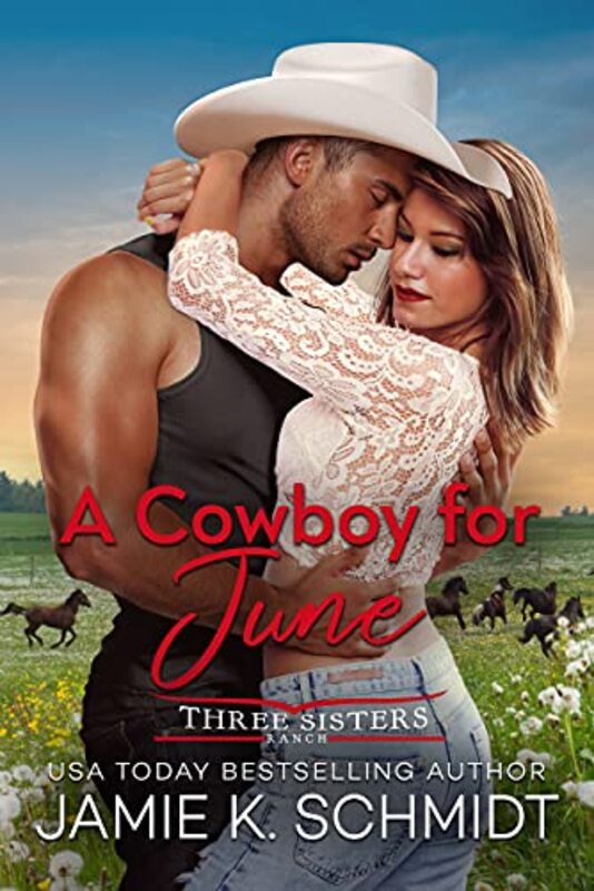 Jamie K Schmidt book cover