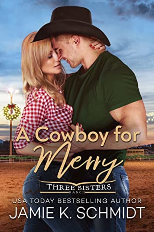 Jamie K Schmidt book cover