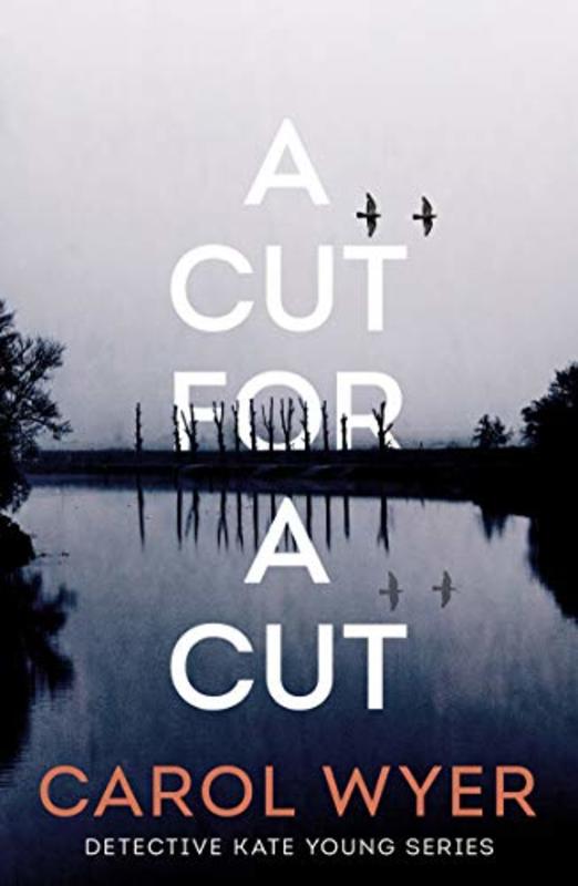 Carol Wyer book cover
