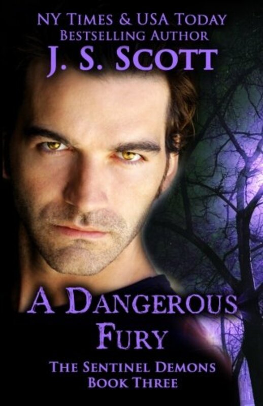 Book cover for "A Dangerous Fury" by JS Scott