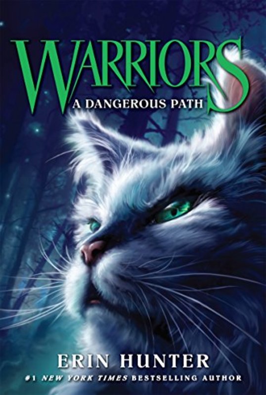 The Warriors book cover