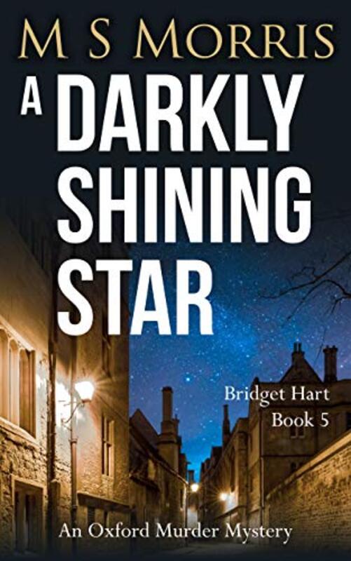 Book cover for "A Darkly Shining Star" by MS Morris