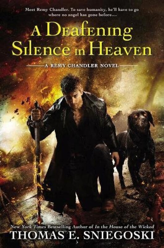 Remy Chandler book cover