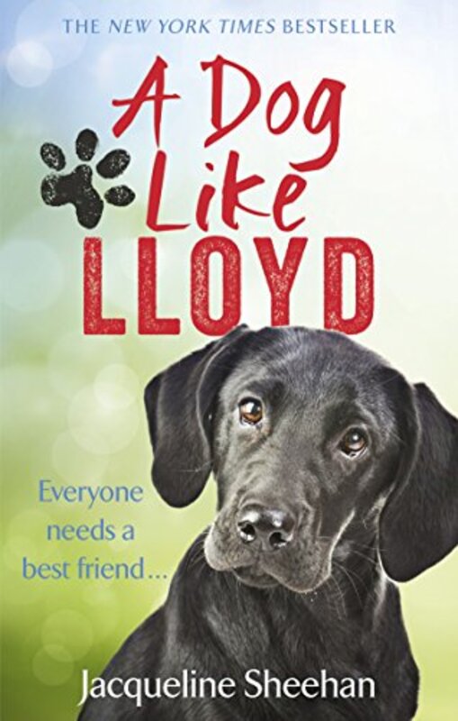 Jacqueline Sheehan book cover