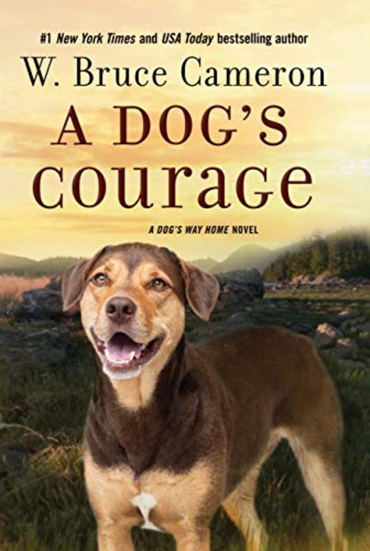 W Bruce Cameron book cover