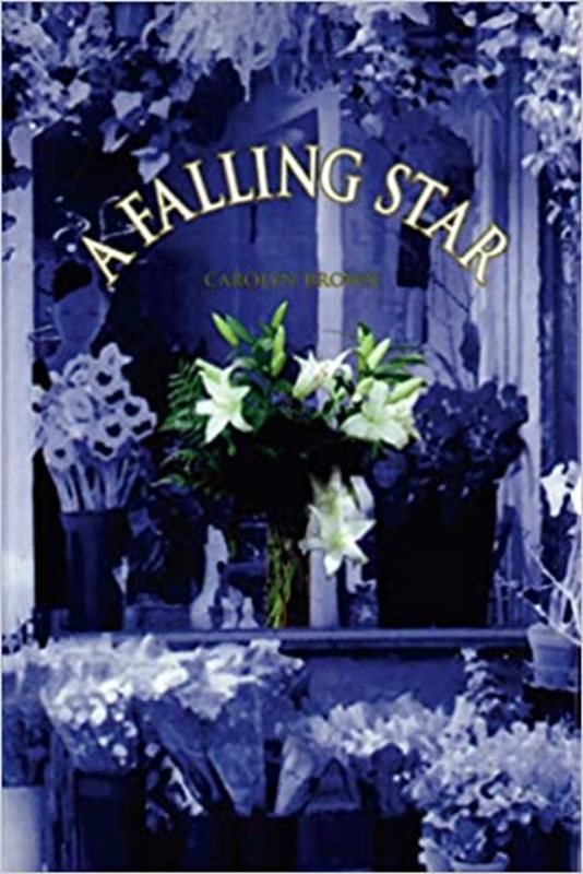 Book cover for "A Falling Star" by Carolyn Brown