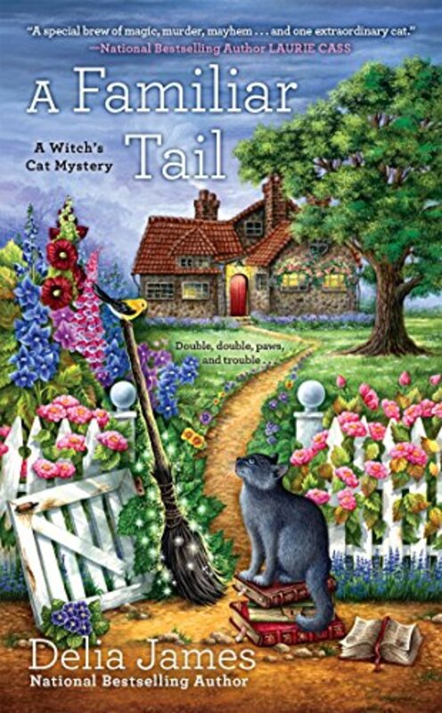 Delia James book cover