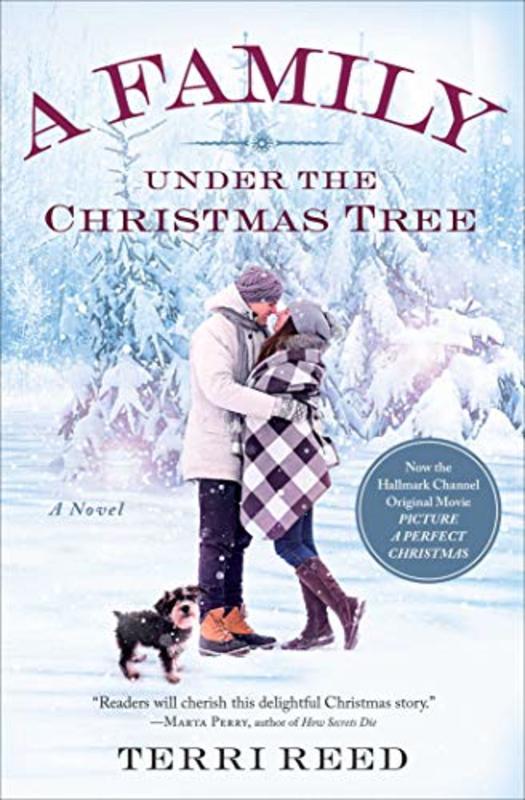Book cover for "A Family Under the Christmas Tree" by Terri Reed