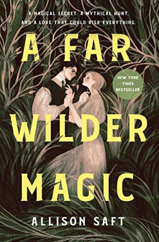 Allison Saft book cover