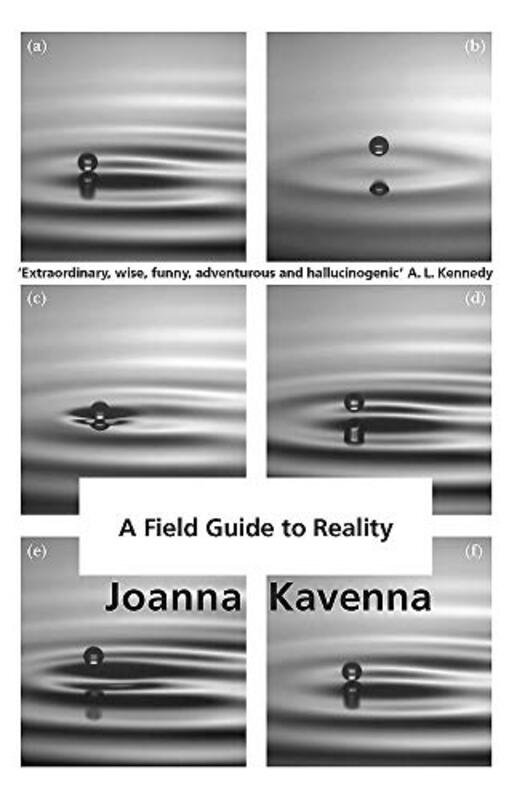 Joanna Kavenna book cover