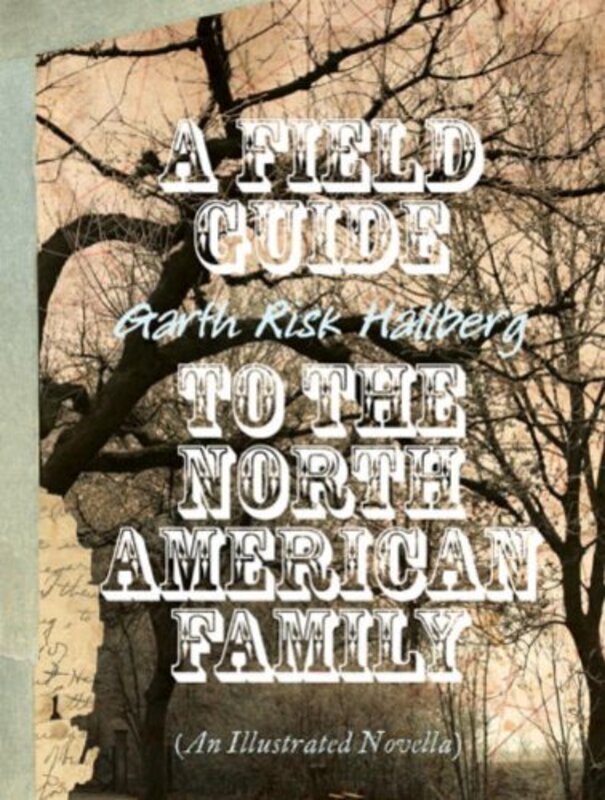 Garth Risk Hallberg book cover