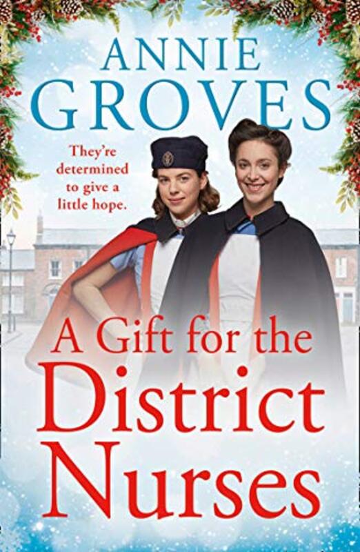 Annie Groves book cover