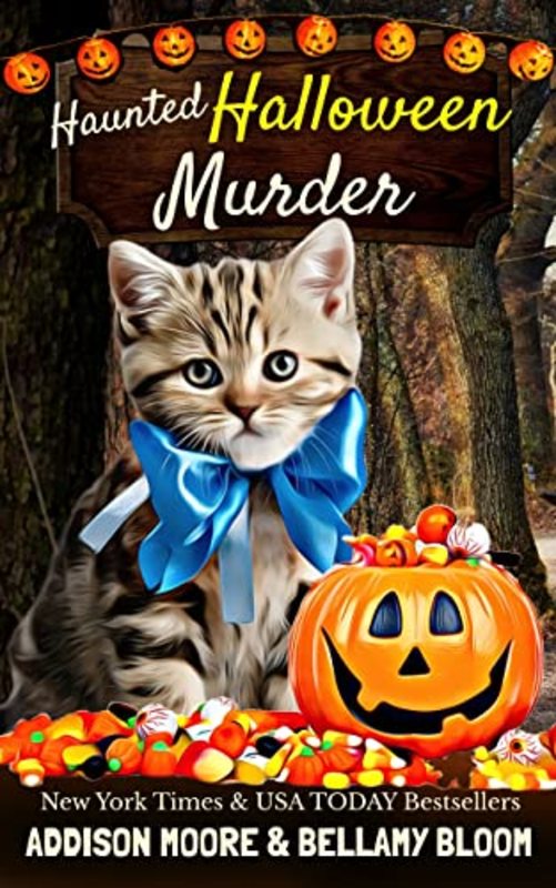 Book cover for "A Haunted Hallow-whiskers" by Addison Moore