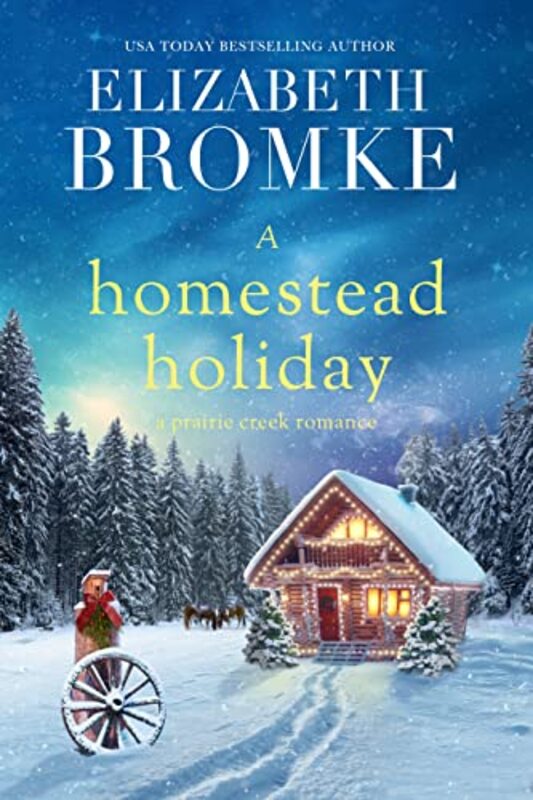 Book cover for "A Homestead Holiday" by Elizabeth Bromke