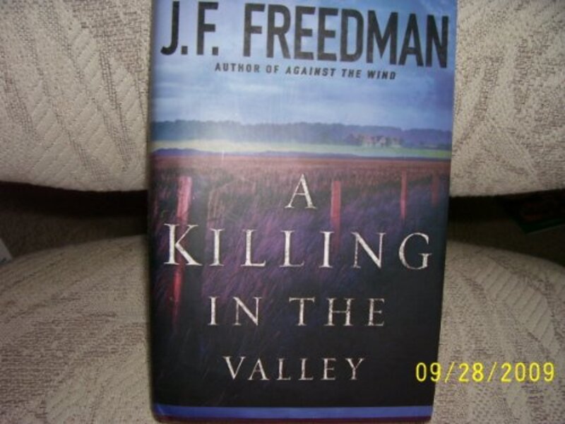 Book cover for "A Killing in the Valley" by JF Freedman