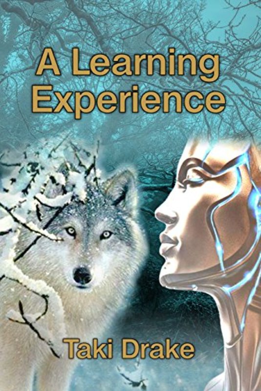 Book cover for "A Learning Experience" by Taki Drake