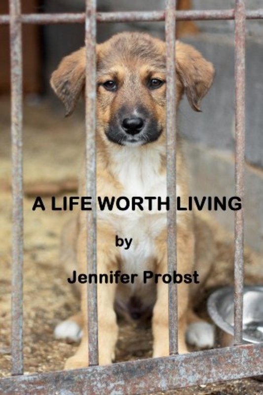 Book cover for "A Life Worth Living" by Jennifer Probst