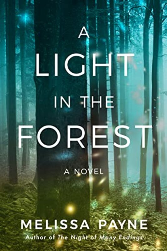 Melissa Payne book cover