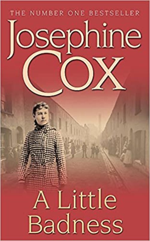 Book cover for "A Little Badness" by Josephine Cox