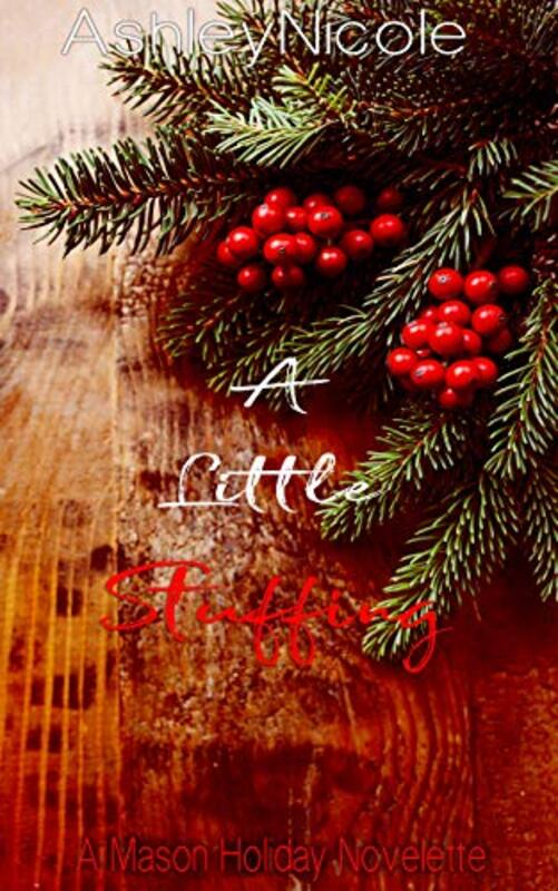 Book cover for "A Little Stuffing" by Ashley Nicole