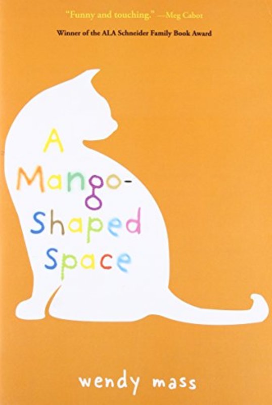 Book cover for "A Mango-Shaped Space" by Wendy Mass