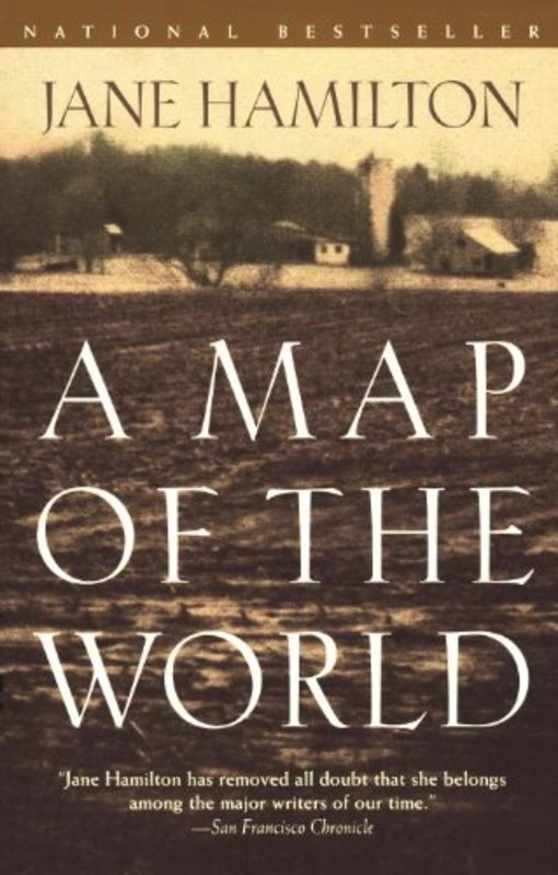 Book cover for "A Map of the World" by Jane Hamilton