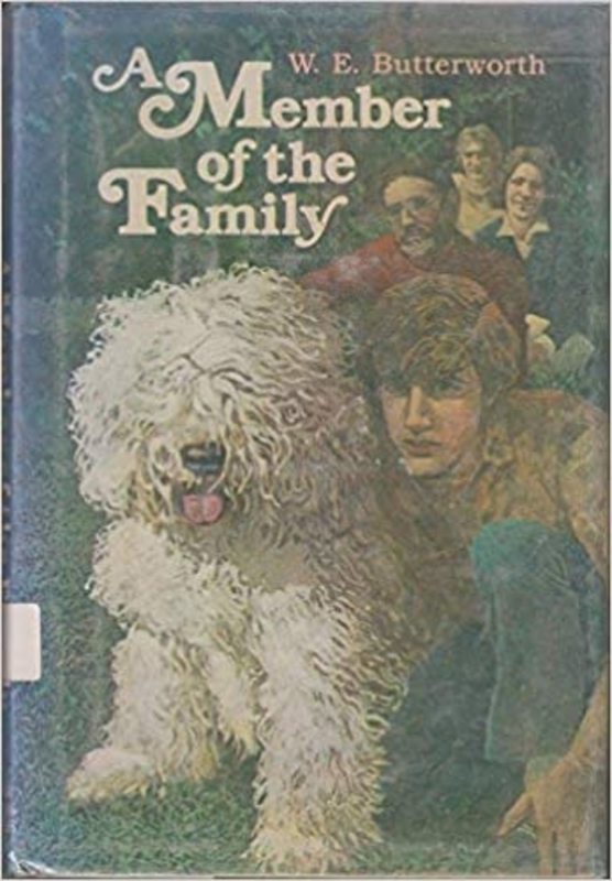 Book cover for "A Member of the Family" by W.E.B. Griffin