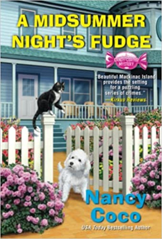 Nancy Coco book cover