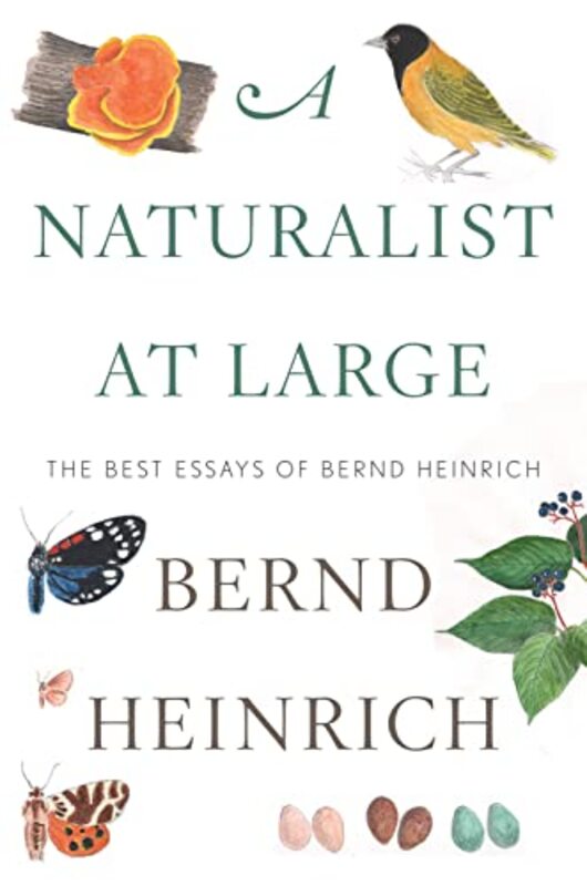 Bernd Heinrich book cover
