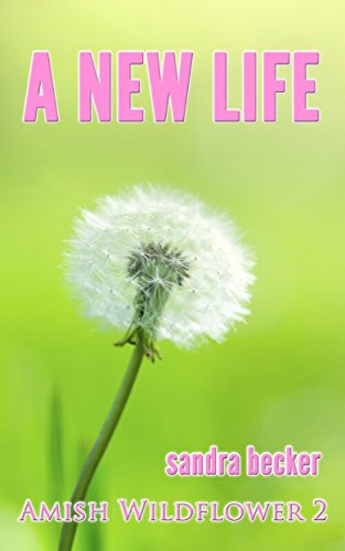 Book cover for "A New Life" by Sandra Becker