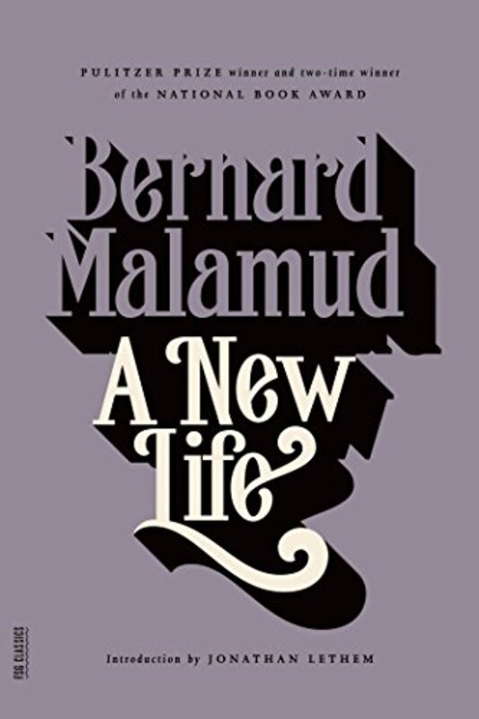 Book cover for "A New Life" by Bernard Malamud