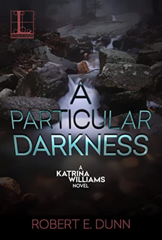 Robert Dunn book cover