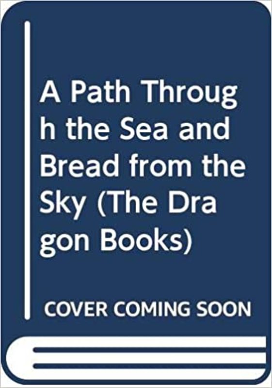 Book cover for "A Path Through the Sea" by Enid Blyton