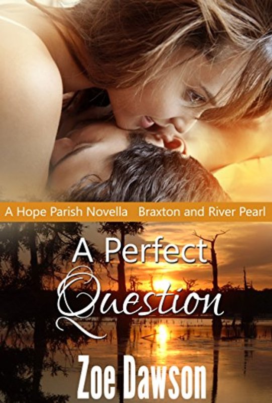 Book cover for "A Perfect Question" by Zoe Dawson