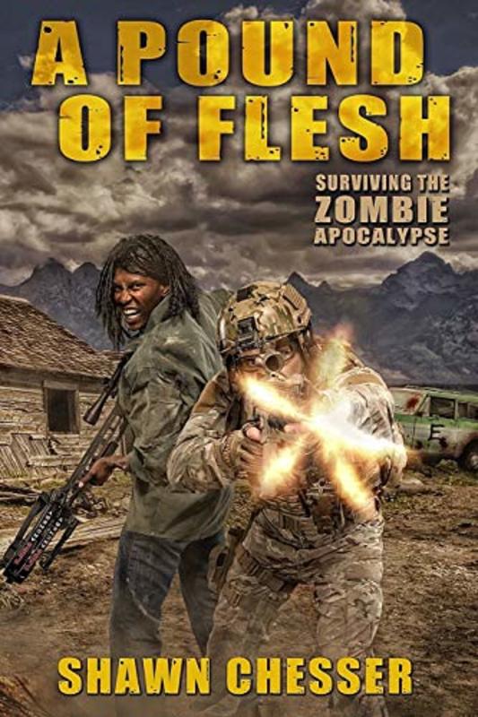 Book cover for "A Pound of Flesh" by Shawn Chesser